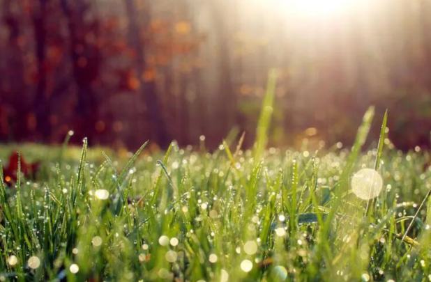 雪儿🎤V娱热点