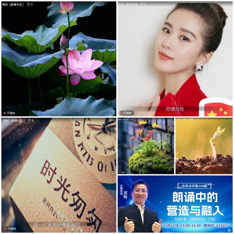 无言🎤V娱热点