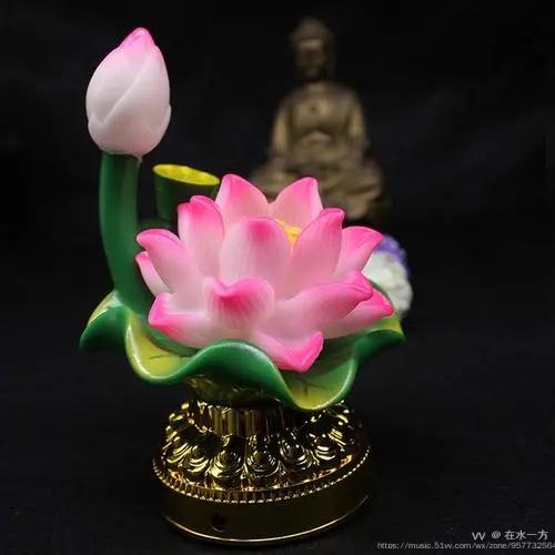 假如我是佛前的一朵莲