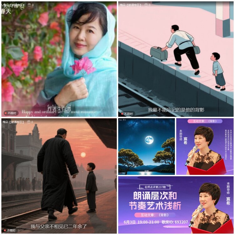 无言🎤V娱热点