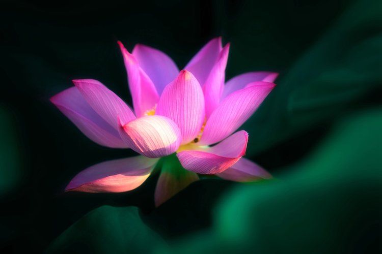 清风