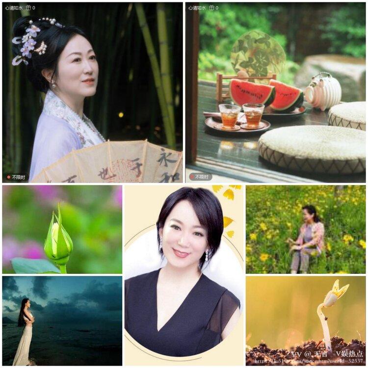 无言🎤V娱热点