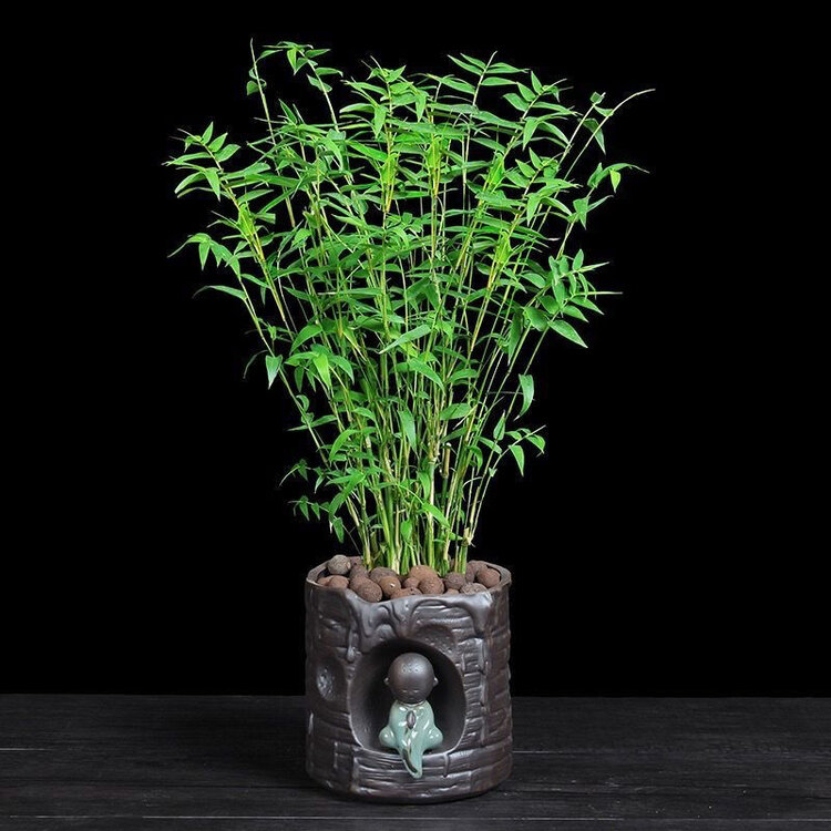 雪儿🎤V娱热点