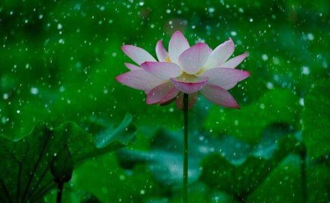 曾经🎤V娱热点