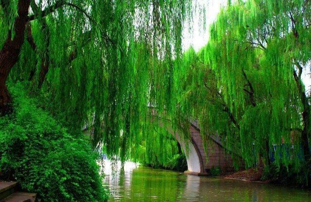 小浅🎤V娱热点