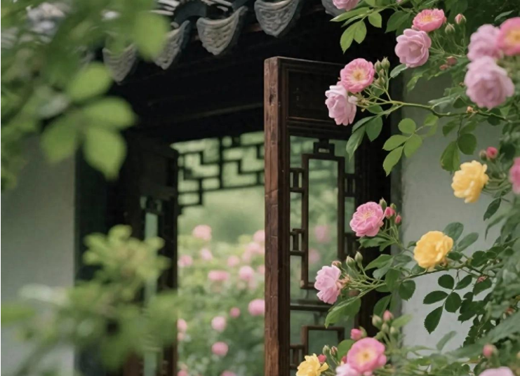 小浅🎤V娱热点