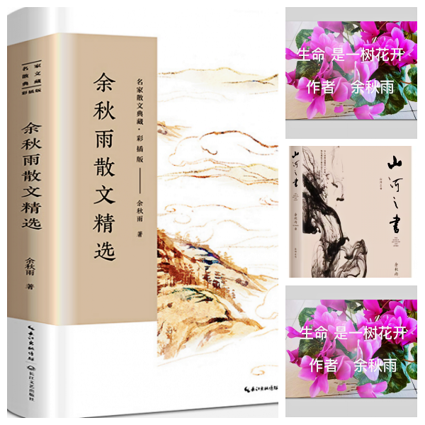 芯薇🎤V娱热点