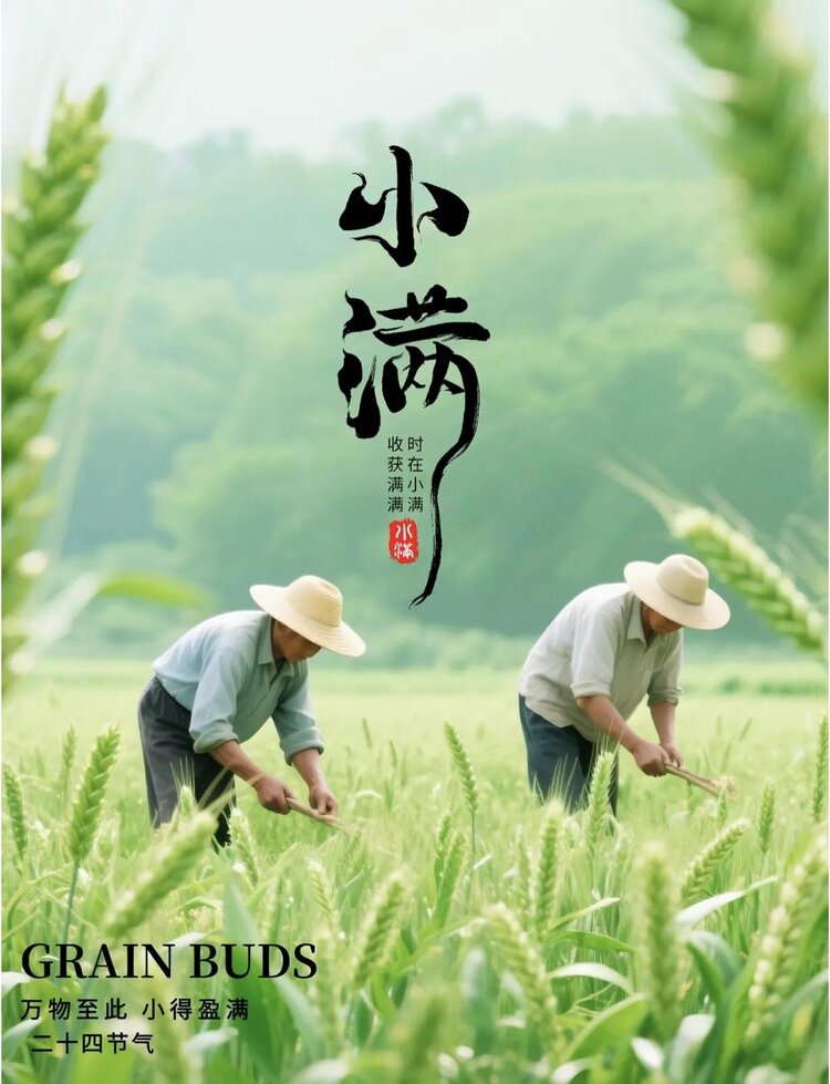 小浅🎤V娱热点