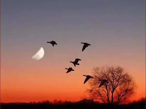 人生百年岁月悠悠