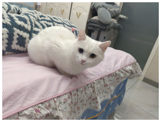 雪儿🎤V娱热点