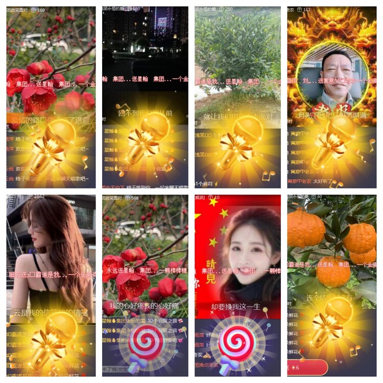 海燕🎤V娱热点