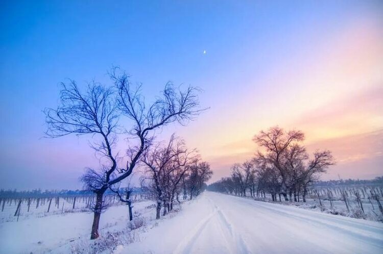 雪之歌的手抄报图片