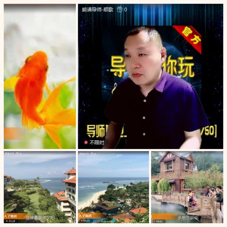 落雪🎤V娱热点