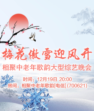 金武🎤V娱热点