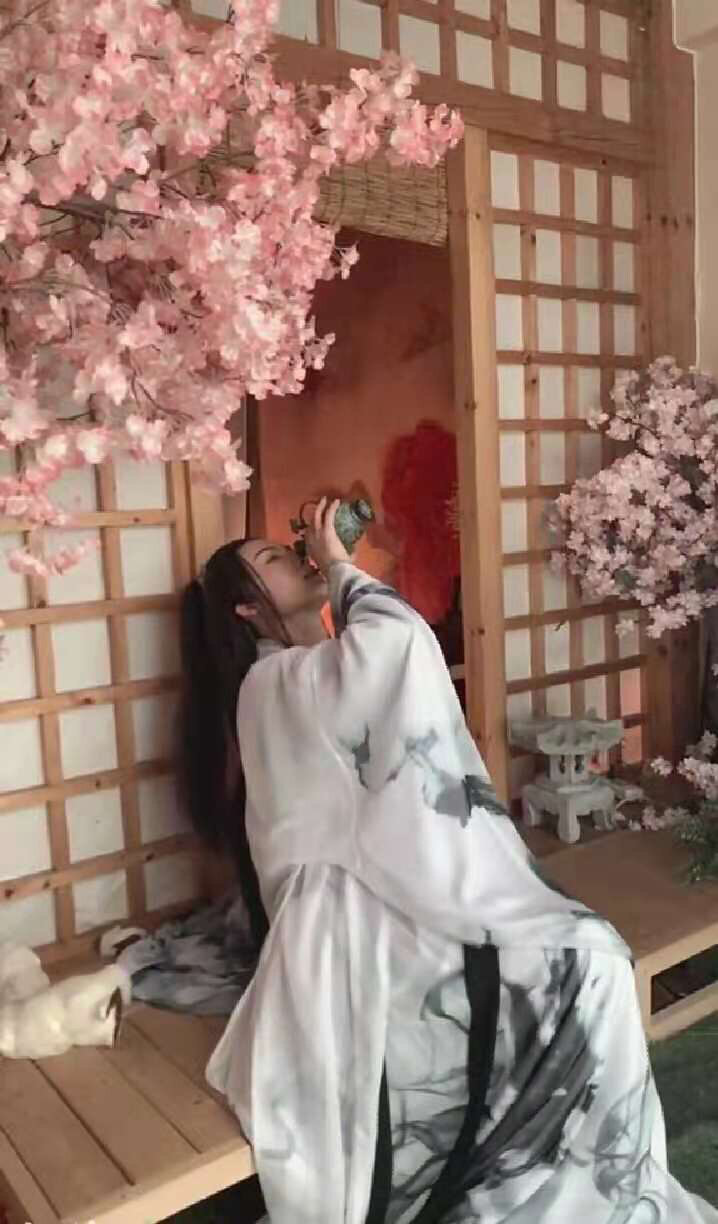 淡雅幽兰