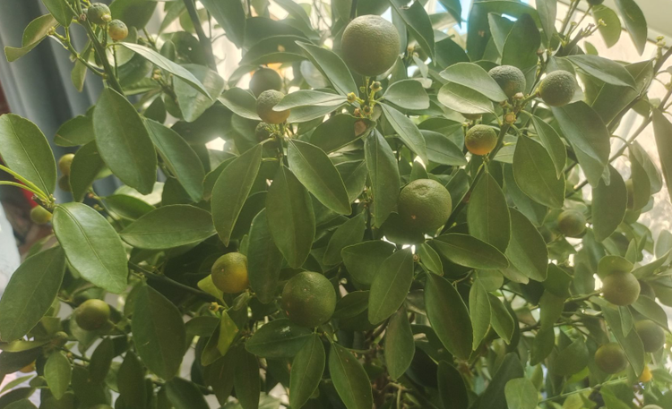 雪儿🎤V娱热点