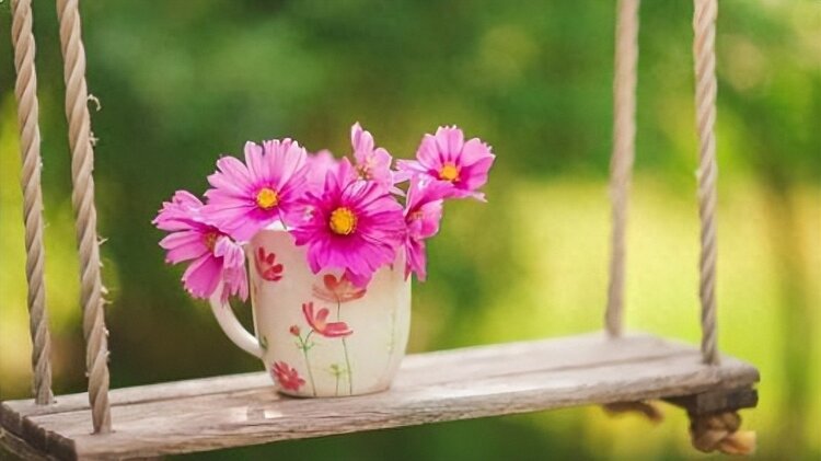 小浅🎤V娱热点