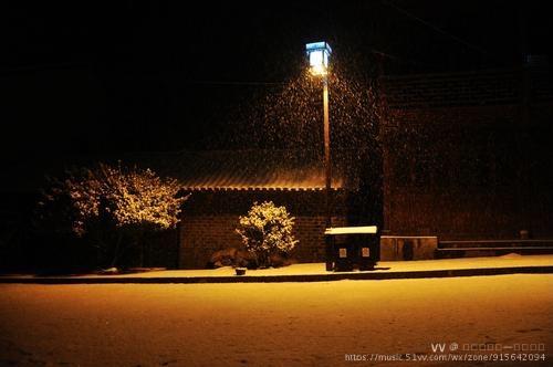 雪夜作者残困生诵读阳光丽人