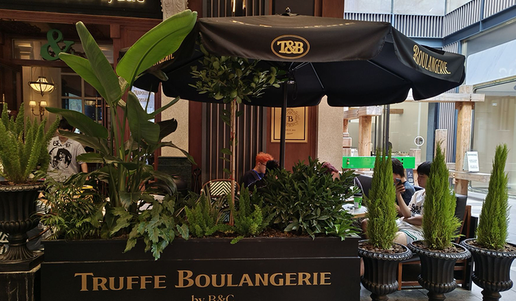 雪儿🎤V娱热点