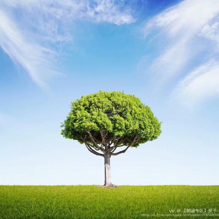 【朗诵专区】灵子