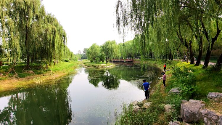 休闲公园真休闲首发