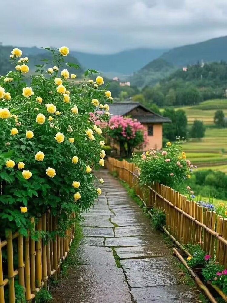 小浅🎤V娱热点