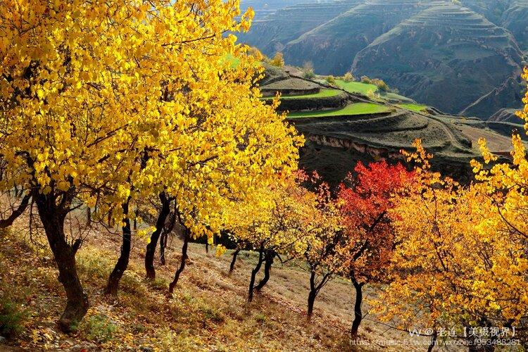 晚秋黄土高原之陇东庆阳