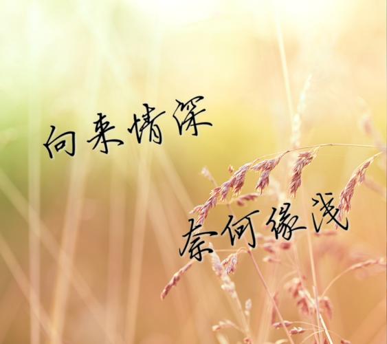 【儒韵】欲晓