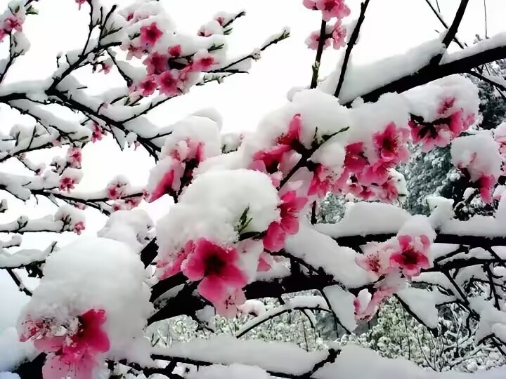 小浅🎤V娱热点