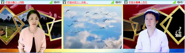 无言🎤V娱热点
