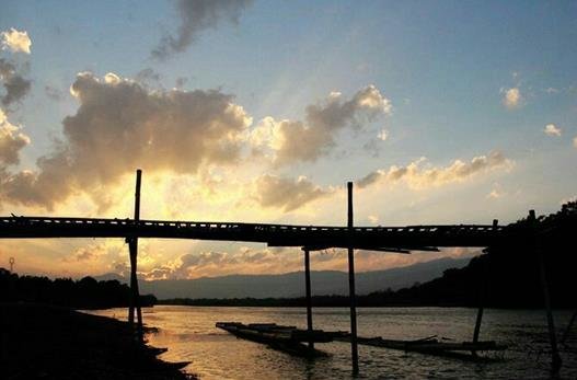 幽兰一箭香(赵放岚)