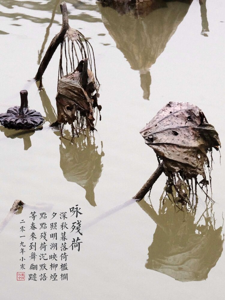玩遍中国