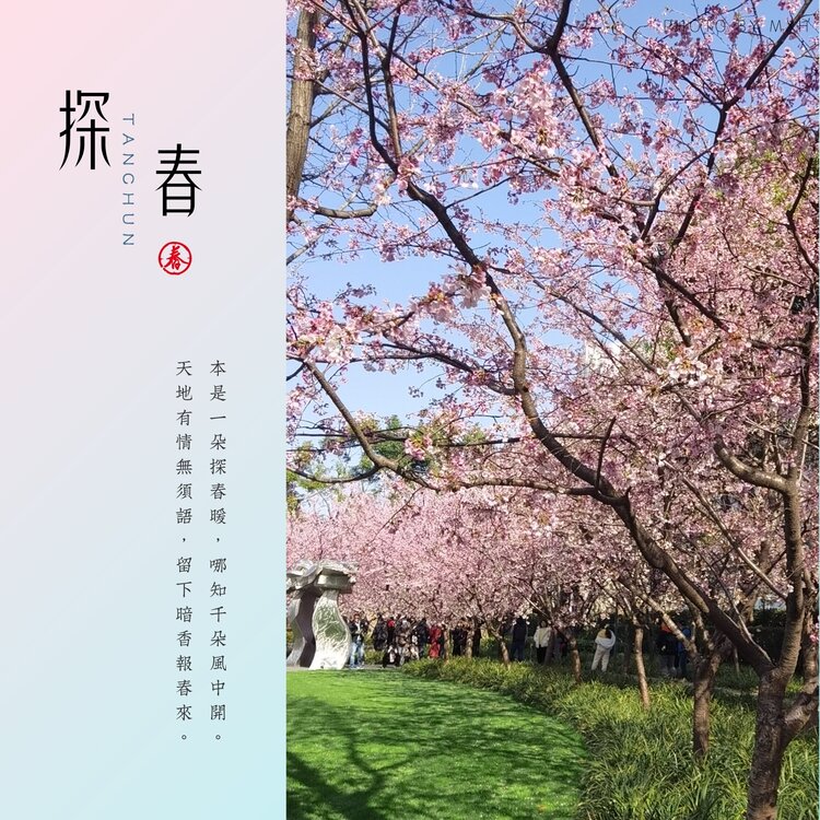 老书生【西窗剪烛】