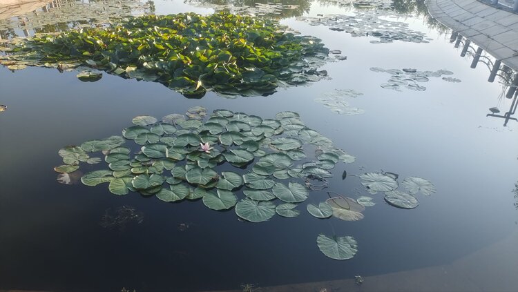 雪儿🎤V娱热点