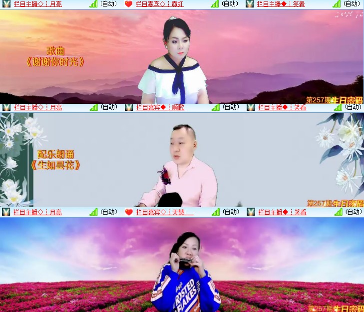 海燕🎤V娱热点