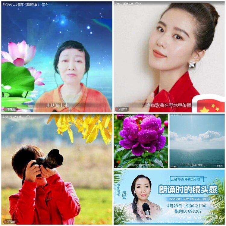 无言🎤V娱热点