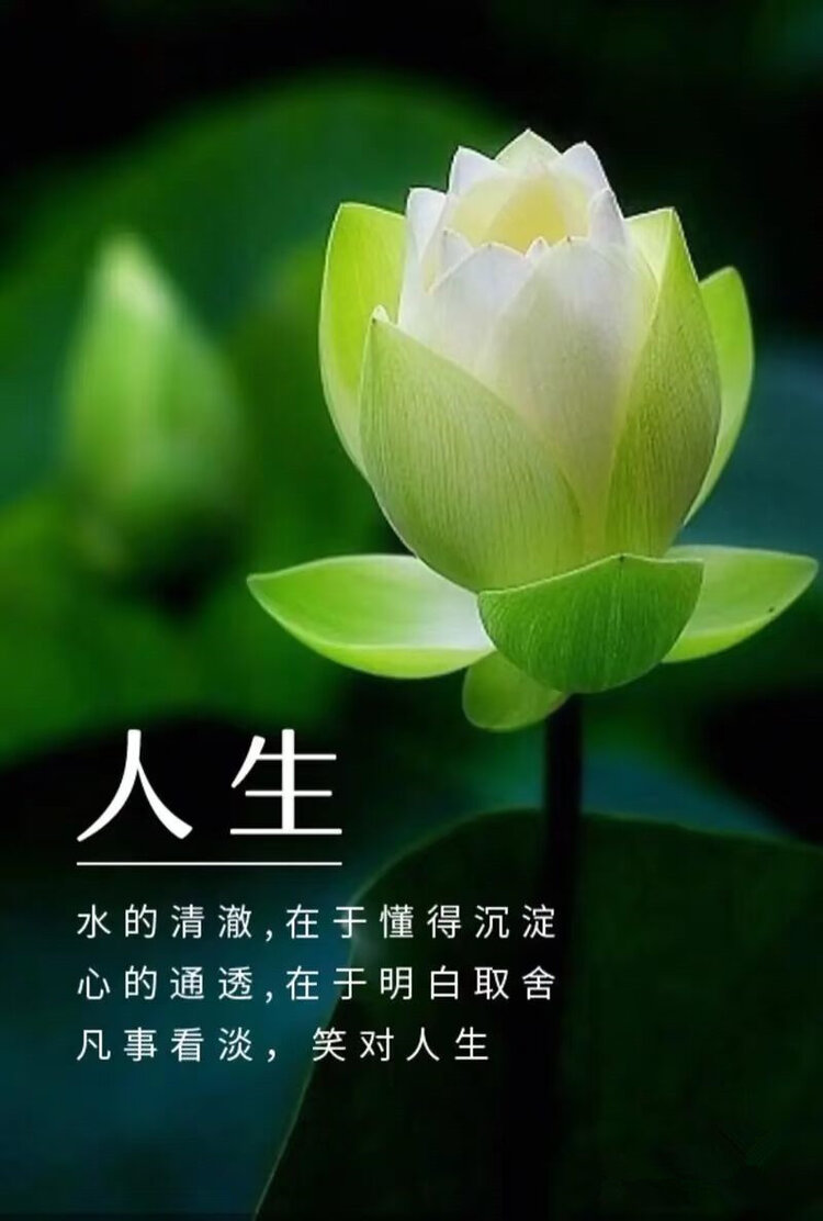 雪儿🎤V娱热点