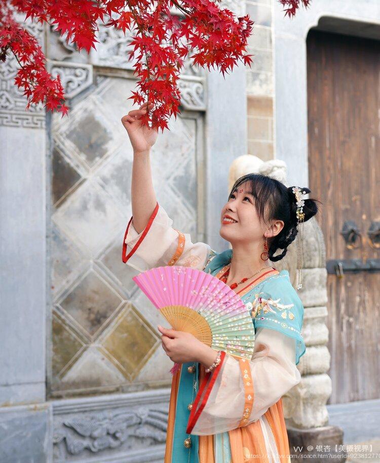 银杏【美摄视界】