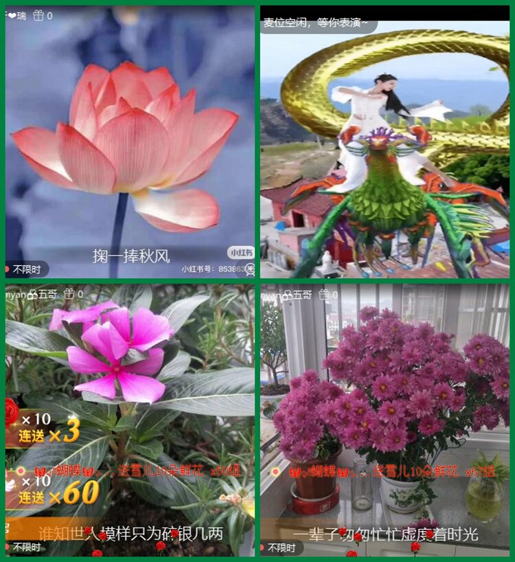 柠檬🎤V娱热点