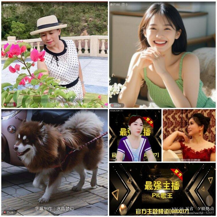 无言🎤V娱热点