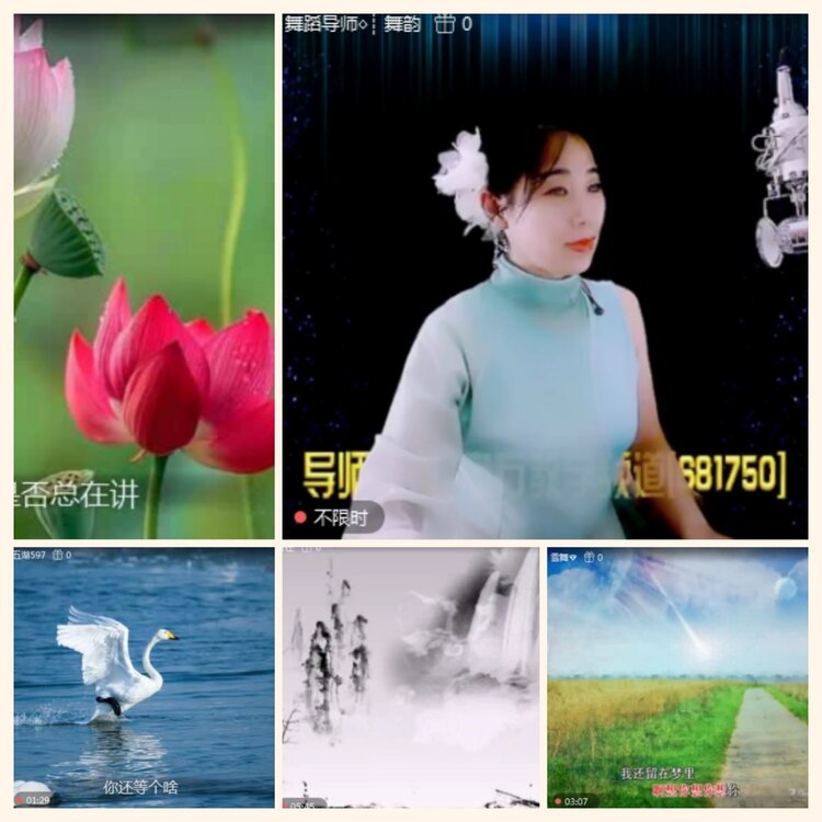 落雪🎤V娱热点