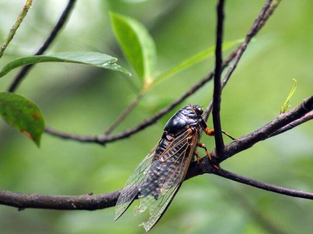 曾经🎤V娱热点