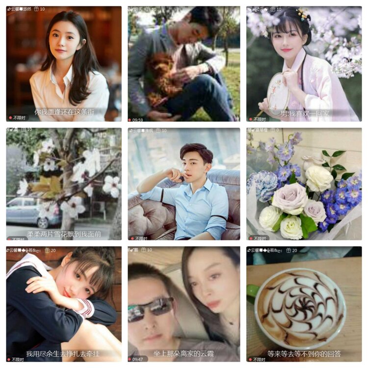 海燕🎤V娱热点