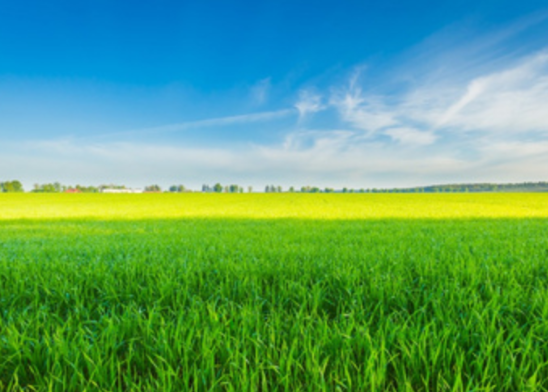 海燕🎤V娱热点