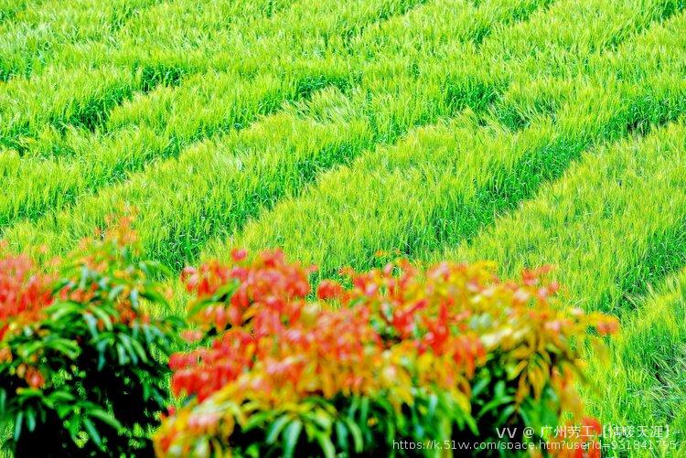 广州劳工【情暖天涯】