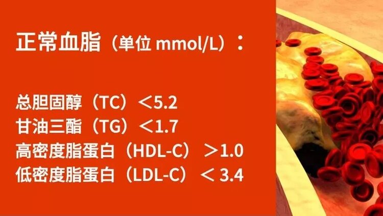 沈阳。。方长华