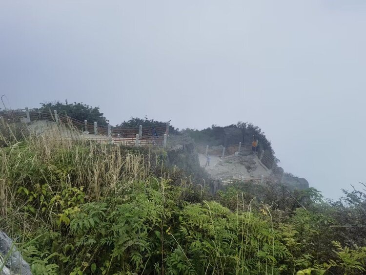 雪儿🎤V娱热点