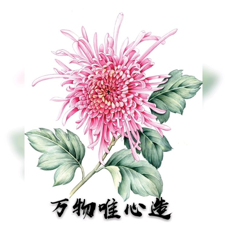 菩提心