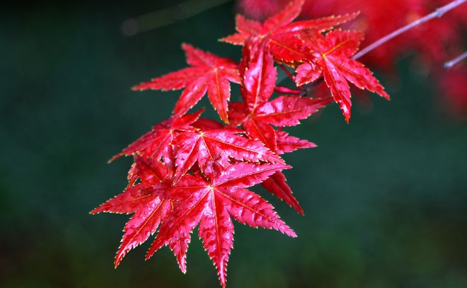 小浅🎤V娱热点