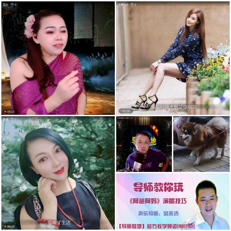 无言🎤V娱热点